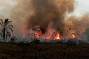 La Conferencia Episcopal exhorta a actuar con rapidez ante los incendios forestales