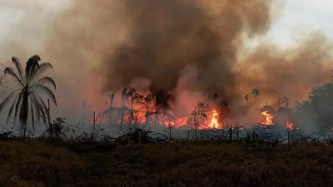 La Conferencia Episcopal exhorta a actuar con rapidez ante los incendios forestales