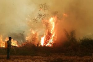 Incendios forestales en Paraguay arrasan hectáreas