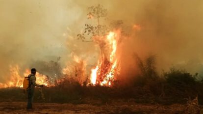 Incendios forestales en Paraguay arrasan hectáreas