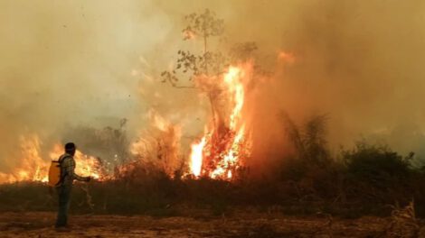 Incendios forestales en Paraguay arrasan hectáreas