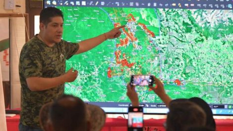 Proyecto de ley para proteger áreas forestales en Bolivia