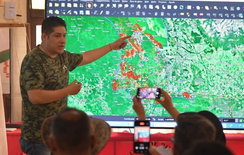 Proyecto de ley para proteger áreas forestales en Bolivia