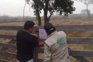 acciones legales por quemas forestales