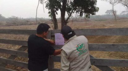 acciones legales por quemas forestales