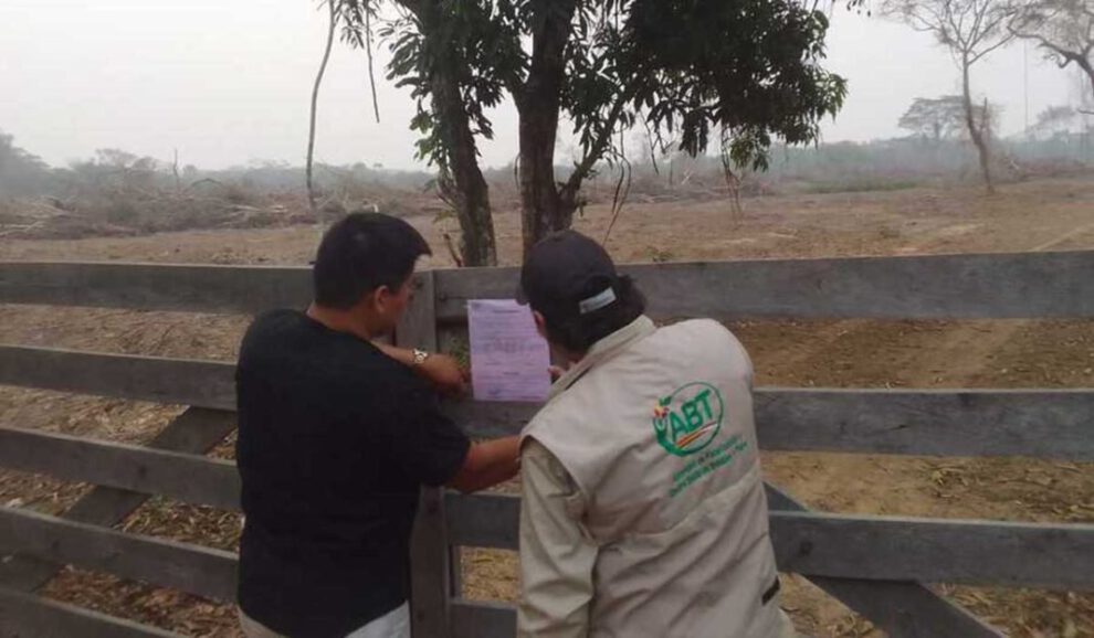 acciones legales por quemas forestales