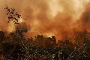 Incendios forestales en Bolivia