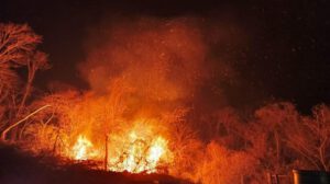 Incendios forestales en Santa Cruz arrasan hectáreas y afectan áreas protegidas