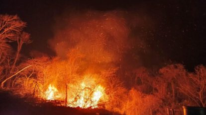 Incendios forestales en Santa Cruz arrasan hectáreas y afectan áreas protegidas