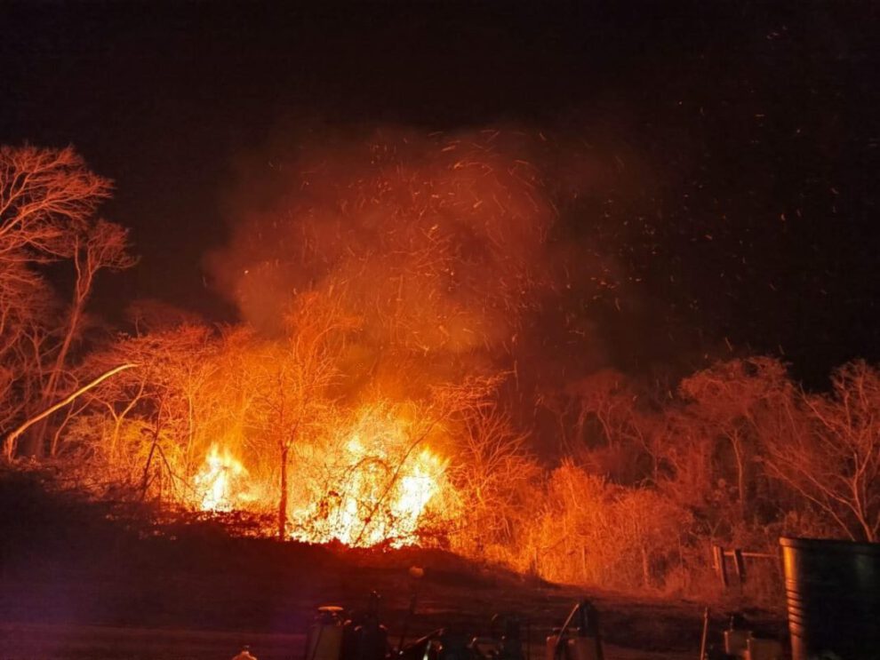 Incendios forestales en Santa Cruz arrasan hectáreas y afectan áreas protegidas