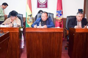 Aprobación del POA 2025 del GAMO