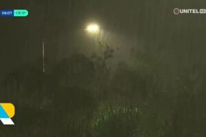 Lluvias en Santa Cruz brindan esperanza tras incendios