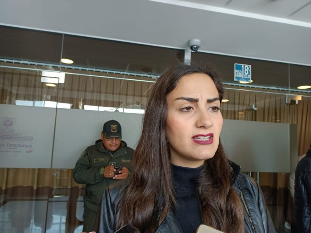 La diputada Luisa Nayar informa sobre un retraso significativo debido a falta de votos y problemas técnicos en la asamblea