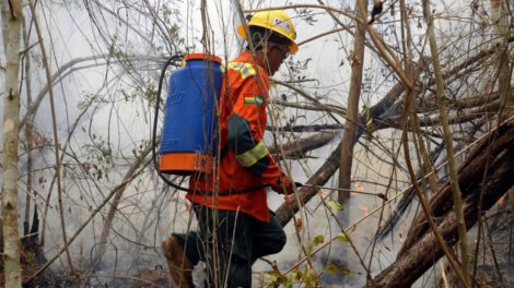 Incendios forestales en Bolivia