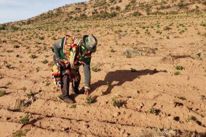 crédito de $40 millones para tierras saneadas en Bolivia