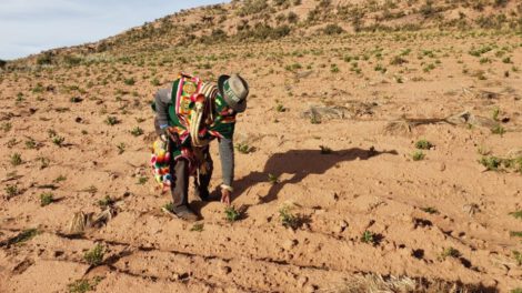 crédito de $40 millones para tierras saneadas en Bolivia
