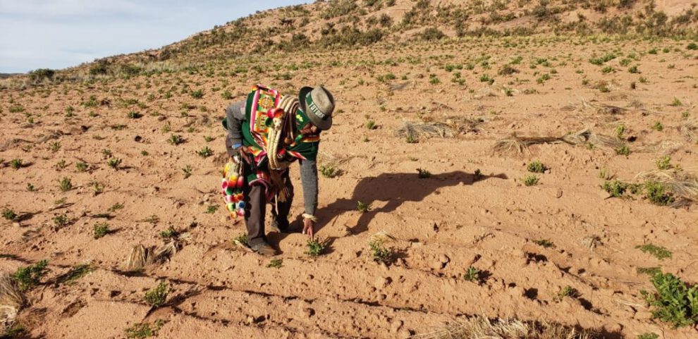 crédito de $40 millones para tierras saneadas en Bolivia