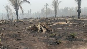 Incendios en tierras fiscales según la CAO