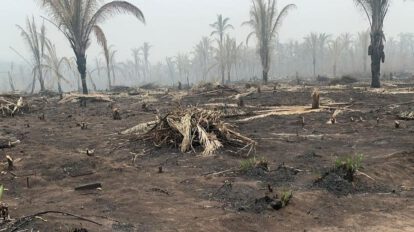 Incendios en tierras fiscales según la CAO