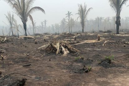 Incendios en tierras fiscales según la CAO