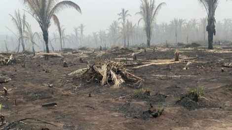 Incendios en tierras fiscales según la CAO