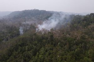 Incendios forestales en Sudamérica