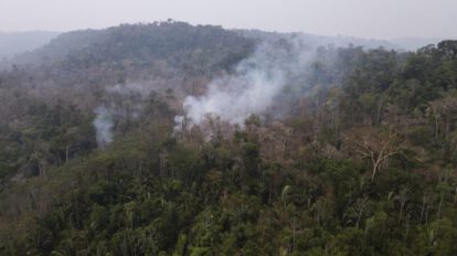 Incendio activo en el Parque Estatal Guajará Mirim, en Nova Mamoré