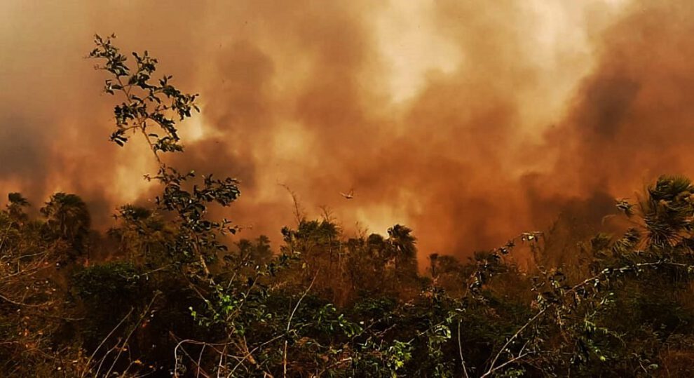 Incendios ilegales en Bolivia identificados por la Procuraduría