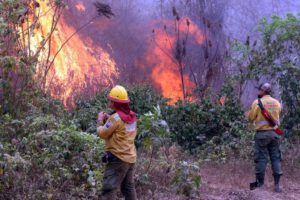 Incendios en Bolivia afectan comunidades y generan evacuaciones