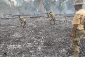 Incendios ilegales en Bolivia