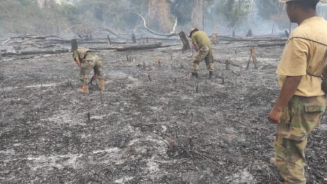 Incendios ilegales en Bolivia