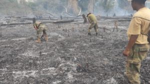 Incendios ilegales en Bolivia
