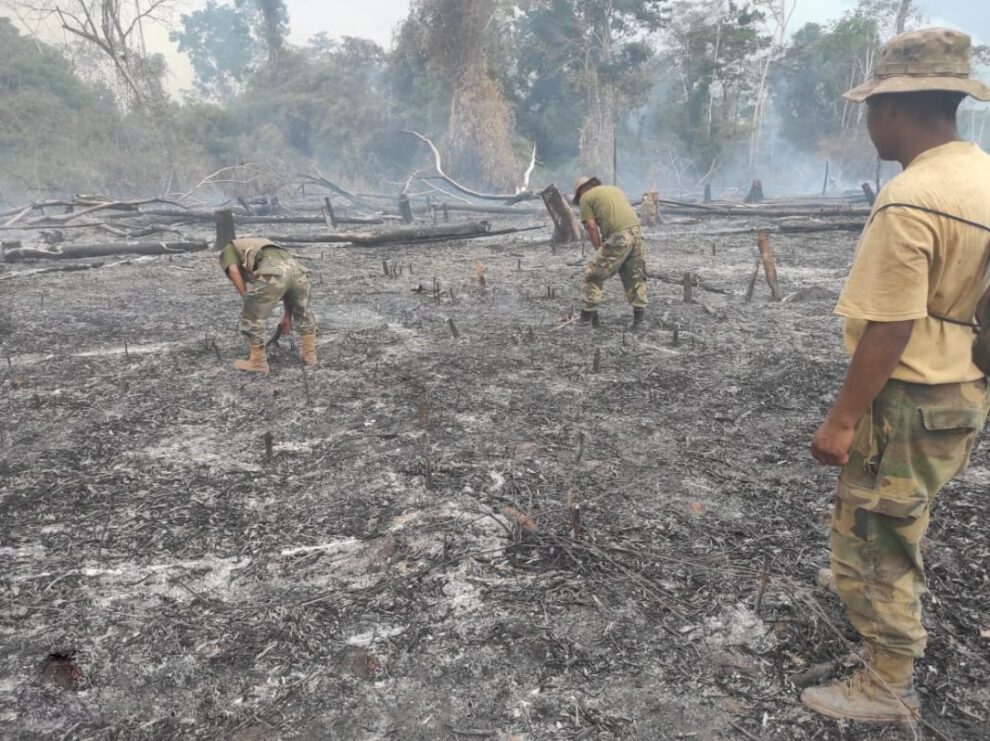 Incendios ilegales en Bolivia