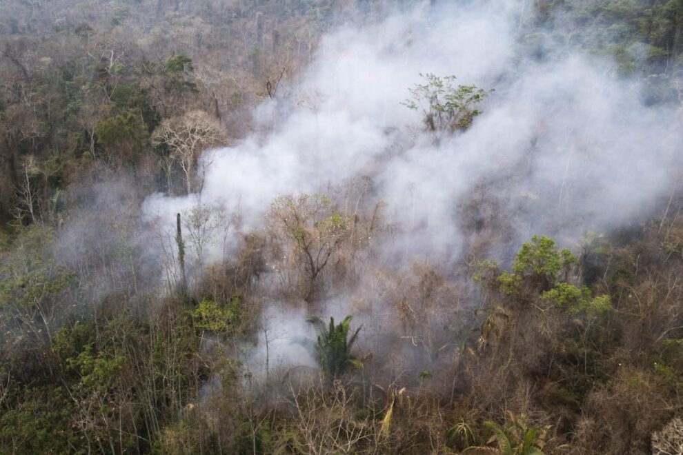 Incendios en Brasil en el Parque Estatal Guajará Mirim