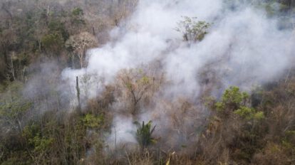 Incendios en Brasil en el Parque Estatal Guajará Mirim