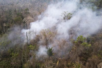 Incendios en Brasil en el Parque Estatal Guajará Mirim