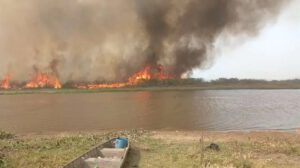 Incendios forestales en Santa Cruz
