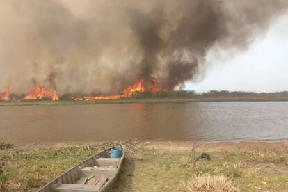 Incendios forestales en Santa Cruz