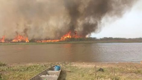 Incendios forestales en Santa Cruz