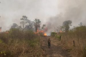 Incendios en Santa Cruz reducidos un 70% gracias a lluvias