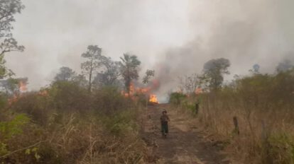 Incendios en Santa Cruz reducidos un 70% gracias a lluvias