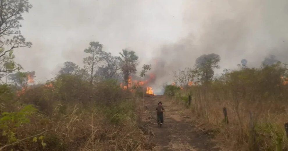 Incendios en Santa Cruz reducidos un 70% gracias a lluvias