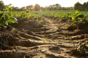 Erosión del suelo por el proyecto de ley 157 en Bolivia