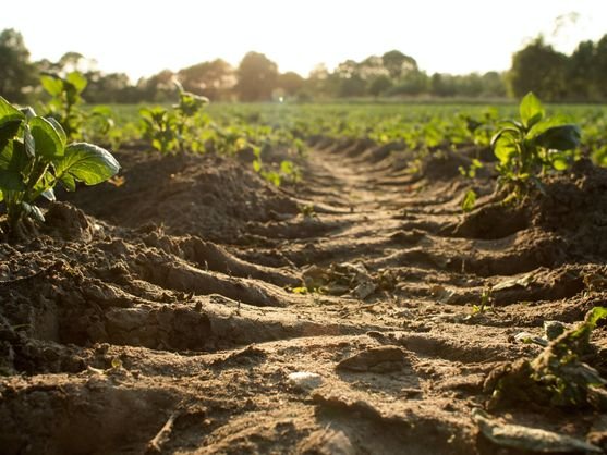 Erosión del suelo por el proyecto de ley 157 en Bolivia