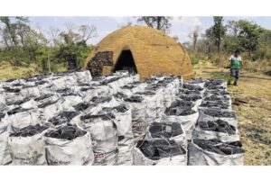 hornos clandestinos en San Rafael de Velasco