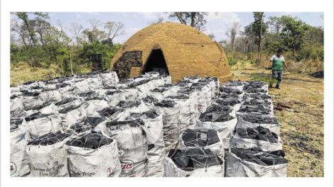 hornos clandestinos en San Rafael de Velasco