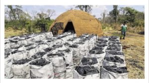 Hornos clandestinos en San Rafael de Velasco
