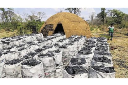 Hornos clandestinos en San Rafael de Velasco
