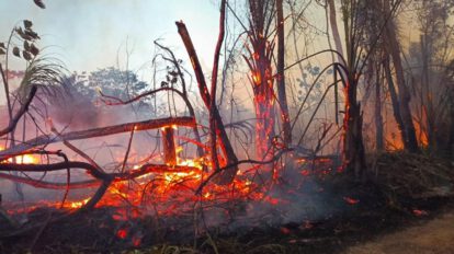 Incendios forestales en Bolivia