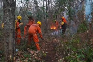 Incendios forestales en Bolivia